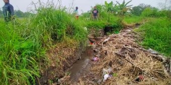 Musim Hujan, Petani Lumpangbolong Pasuruan Malah Kesulitan Air