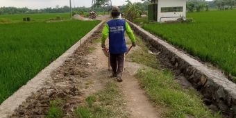 Permudah Petani Angkut Hasil Panen, Desa Kertosari Garap JUT