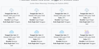 Cuaca Kota Blitar Hari ini Jumat, 24 Oktober 2025: Diperkirakan Hujan Ringan dengan Suhu 22-30°C