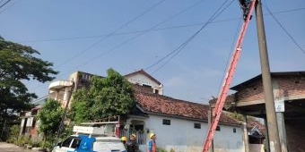 Mati Listrik di Sumatera Sudah Hampir Teratasi