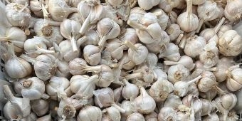 Harga Pangan Jabar 7 Mei 2025, Bawang Putih Merosot hingga Rp5 Ribu