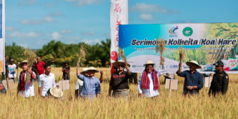 Petrokimia Gresik dan Pupuk Indonesia Sukses Tingkatkan Produktivitas Padi di Timor Leste
