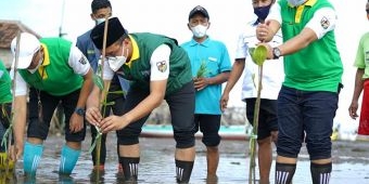 Revitalisasi Kawasan Pantai dan Wisata Maritim, Wakil Wali Kota Pasuruan Lakukan Penanaman Mangrove
