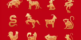 Ramalan Shio Minggu 18 Februari 2024: Anjing Mirip yang Menang, Babi Apalagi Coba?