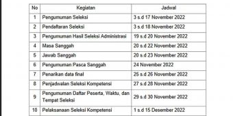 Pendaftaran PPPK Tenaga Kesehatan 2022 Sudah Dibuka, Berikut Link dan Cara Pendaftaran