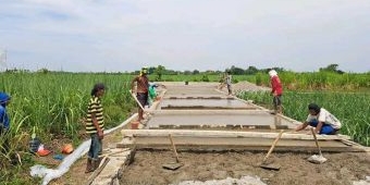 Dorong Perekonomian, Disperkim Jombang Bangun Jalan Penghubung Antar Desa