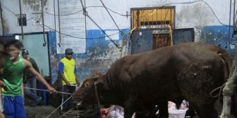 Bernilai Ekonomi, Warga Glagahsari Kelola Limbah RPH