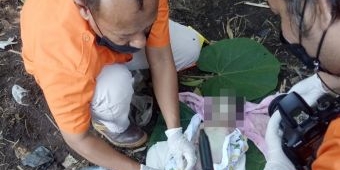 Warga Kediri Temukan Mayat Bayi Tak Berdosa di Tempat Pembuangan Kotoran Sapi