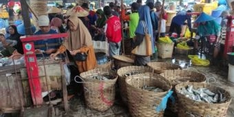 Harga Ikan Air Tawar di Lamongan Anjlok Saat Panen Raya, Petani dan Pedagang Menjerit