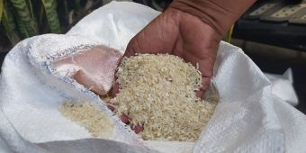 Beras Bantuan Kemensos Melalui Bulog Tak layak Konsumsi, Warga Segobang Banyuwangi Mengeluh