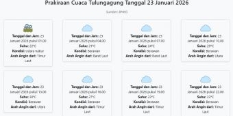 Prakiraan Cuaca Tulungagung Hari ini Jumat, 23 Januari 2026: Suhu 21-30°C, Kecepatan Angin 18.5 m/s.