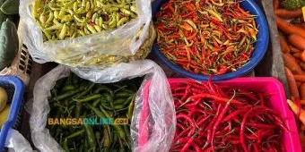 Update Daftar Harga Sembako Aceh Hari Ini: Cabai Merah Keriting Turun Drastis
