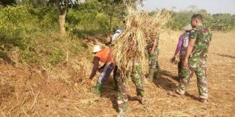 Jelang Berakhirnya TMMD ke-98 di Plumpang, Anggota Satgas Mulai Bersih-bersih 