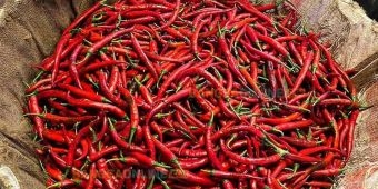 Daftar Harga Sembako Jawa Timur Terbaru Hari Ini: Cabai Fluktuatif, Ayam Mulai Kondusif