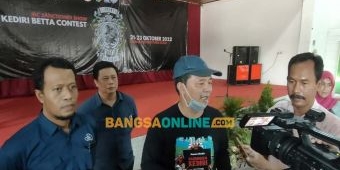 Kediri Betta Club Kembali Gelar Kontes Ikan Cupang, Ada Peserta dari Luar Negeri