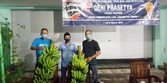 Reses Deni Prasetya, Petani Pisang Ingin Undang Gubernur Khofifah Panen Cavendish