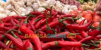Harga Sembako di Bali Masih Melejit, Cabai Besar Naik hingga Rp10 Ribu