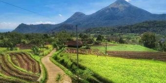 Tempat Wisata di Trawas, Pemandangan Gunung dan Air Terjun Cocok untuk Berlibur Bersama Keluarga