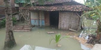  Kali Lamong Kembali Meluap, 6 Desa di Balongpanggang Gresik Terendam