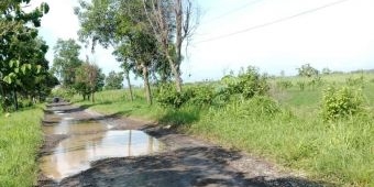 Jalan Rusak di Brangkal-Jombangdelik, Warga Desak Pemkab Gresik Segera Perbaiki