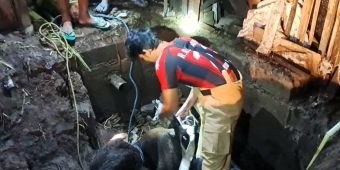 Damkar Evakuasi Sapi yang Tercebur ke Bekas Septic Tank Milik Warga di Kediri