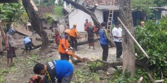 Diterjang Angin Kencang, 8 Rumah dan 1 Sekolah di Situbondo Rusak