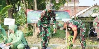 Wujudkan Ketahanan Pangan Lokal, Dandim 0816 Sidoarjo Tanam Padi dan Bibit Pohon pada TMMD ke-120