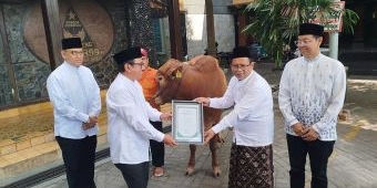 Petrokimia Gresik Salurkan Hewan Kurban ke Ponpes Tebuireng Jombang