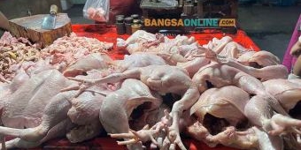 Fluktuasi Harga Sembako Surabaya Hari Ini: Daging Ayam Kampung Melonjak, Cabai Turun Drastis