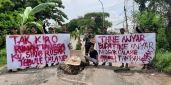 Jalan Rusak, Sejumlah Pemuda di Desa Sumberejo Gresik Tanam Pohon Pisang di Tengah Jalan