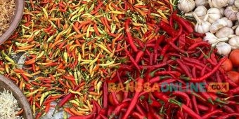 Cabai Melorot, Simak Fluktuasi Harga Sembako Surabaya Hari Ini Minggu 14 Desember 2025