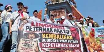 Harga Anjlok, Peternak Blitar Bagikan 1 Juta Telur Gratis