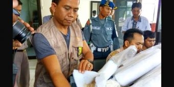 Petugas Pengamanan Bandara Juanda Gagalkan Penyelundupan 7800 Benih Lobster