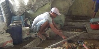 Luar Biasa, Sekelompok Pemuda di Tuban Berhasil Ubah Sampah Jadi Maggot Bernilai Jutaan Rupiah