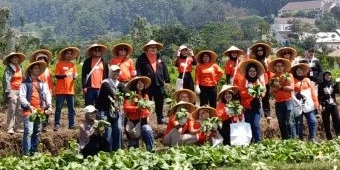 Harga Sayur Anjlok, Garda Pangan Beli Sayur Petani Songgokerto