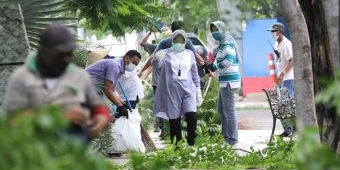 Tak Main Potong Sembarangan, Risma Beberkan Cara Perantingan Pohon yang Benar