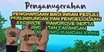 Raih Penghargaan Peduli Mangrove, UTM Teguhkan Komitmen Kampus Hijau Berkelanjutan