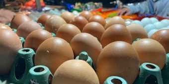 Harga Sembako Jatim 30 April 2025: Telur Rp26.224/kg, Tomat Rp9.749/kg