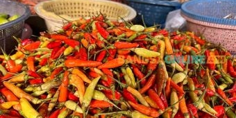 Harga Cabai di Surabaya Hari Ini Anjlok, Turun hingga Rp13 Ribu per Kg