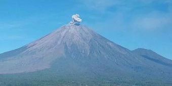 Gunung Semeru Erupsi Sebanyak 7 kali, PVMBG Minta Warga Tidak Beraktivitas Apapun di Besuk Kobokan