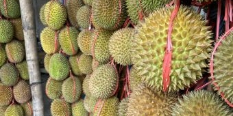 Ampuh Cegah Kanker Payudara, Ini Sederet Manfaat Konsumsi Durian Bagi Tubuh