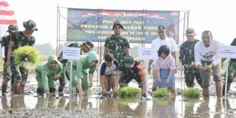 Ini Upaya TMMD ke-120 Kodim 0816/Sidoarjo Wujudkan Ketahanan Pangan