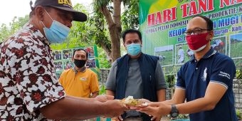 Peringati Hari Tani Nasional, Petani di Kabupaten Kediri Keluhkan Harga Pupuk yang Mahal
