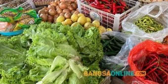 H+3 Lebaran, Harga Cabai di Jatim Terpantau Mulai Turun