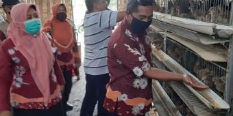 Dinas Peternakan Kabupaten Pasuruan Kembangkan Maggot sebagai Pakan Alternatif