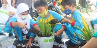 Peringati Hari Pohon Sedunia, Siswa SD Al Muslim Sidoarjo Tanam Beragam Pohon