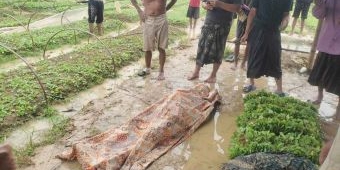 Nahas! Pria di Sampang Tewas Usai Tersambar Petir