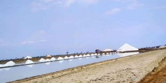 Produksi Garam di Pamekasan Anjlok, Cuaca dan Teknologi Jadi Tantangan Petambak