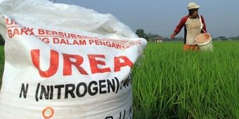 Harga Pupuk Subsidi Turun 20 Persen, Kepala DKPPP Tuban Minta Semua PPTS/Kios Patuhi HET Terbaru