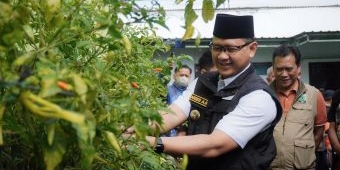 Wujudkan Kemandirian Pangan, Pemkot Batu Canangkan P2L